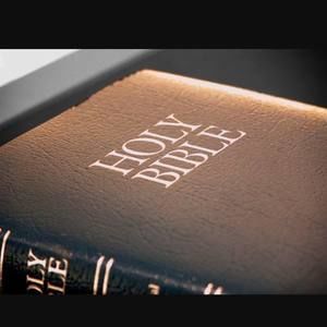 Meet your Posher, Bahaa